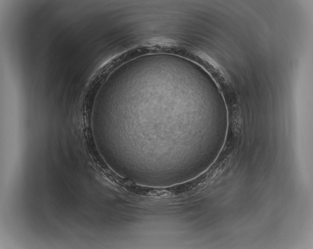 X0000113781112200909231310