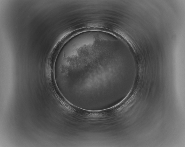 X0000113781115200909231310
