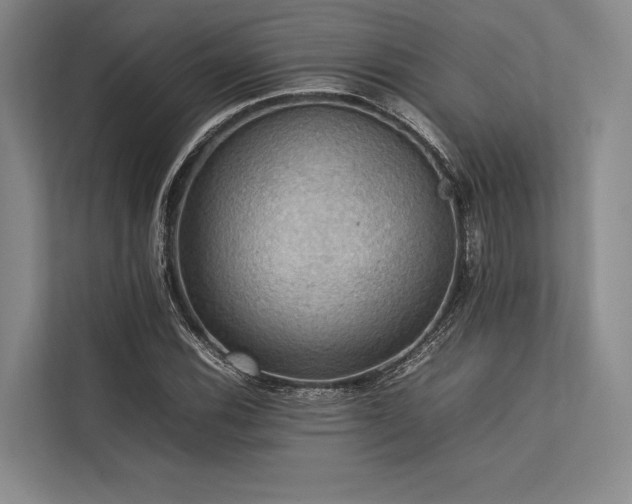 X0000113781116200909231310