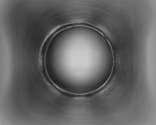 X0000113781118200909231310
