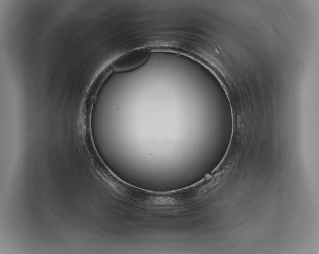 X0000113781119200909231310
