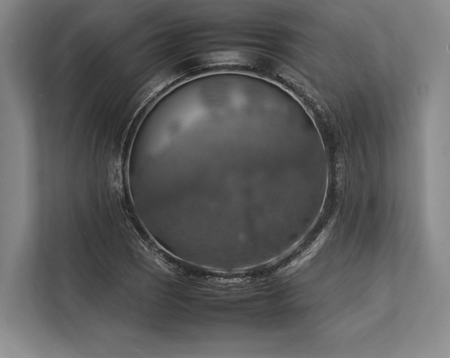X0000113781121200909231310