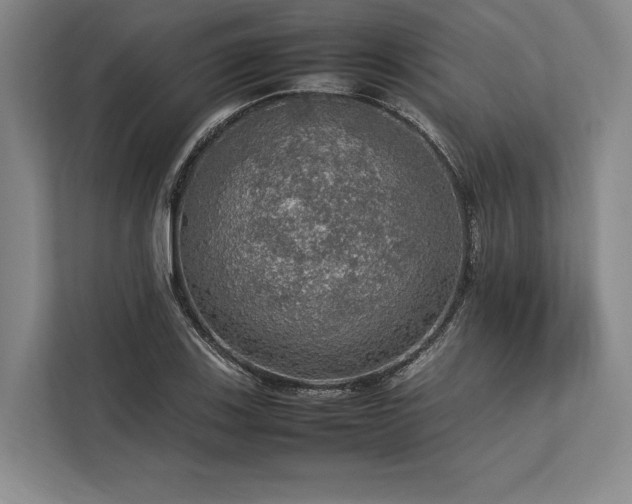X0000113781123200909231310