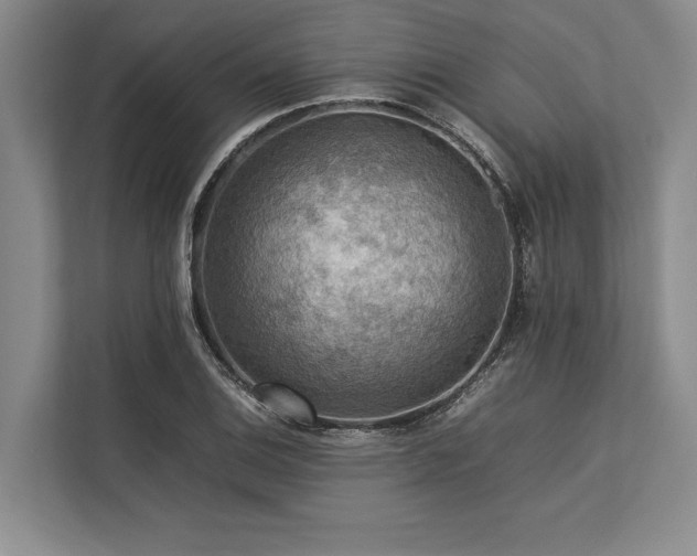 X0000113781124200909231310
