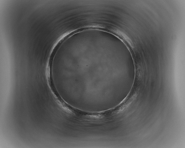 X0000113781125200909231310