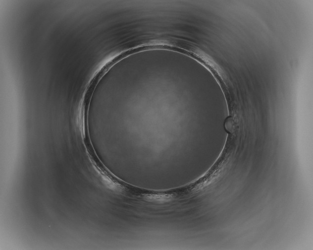 X0000113781127200909231310