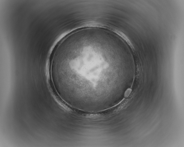 X0000113781128200909231310