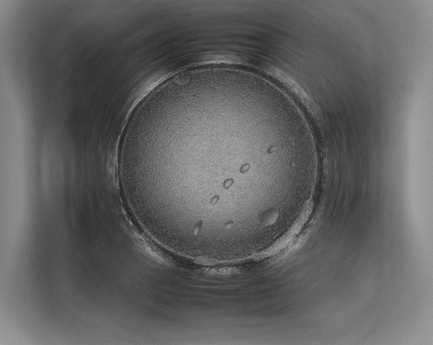 X0000113781129200909231310