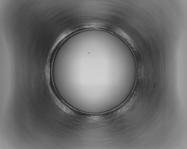 X0000113781130200909231310