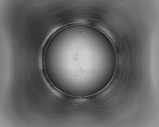 X0000113781131200909231310