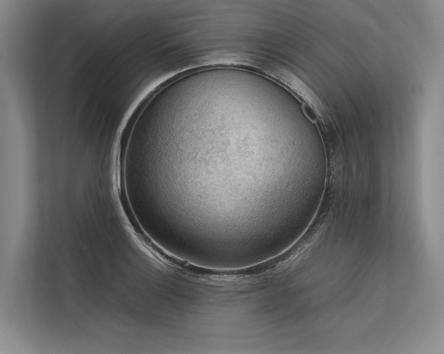 X0000113781132200909231310