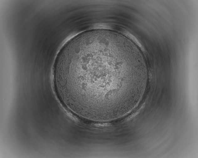 X0000113781133200909231310
