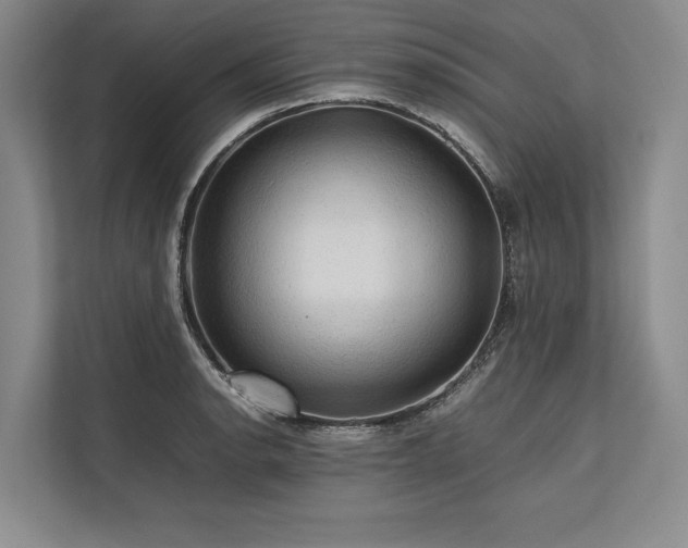 X0000113781134200909231310