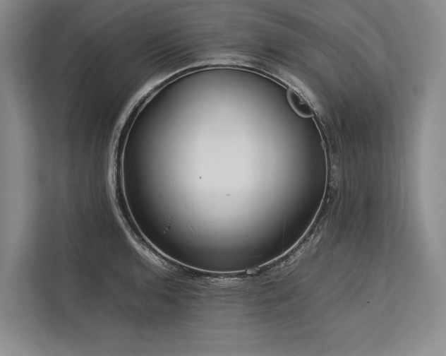 X0000113781136200909231310