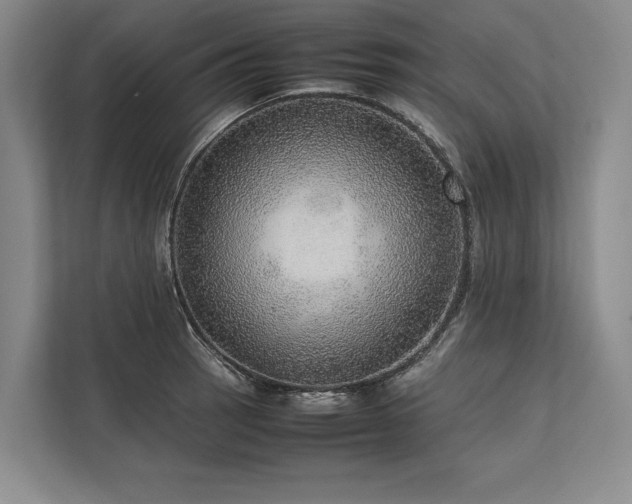 X0000113781137200909231310