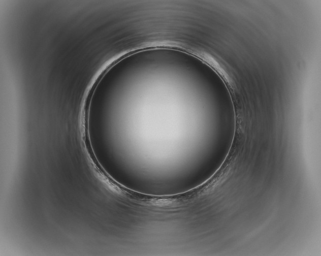 X0000113781140200909231310