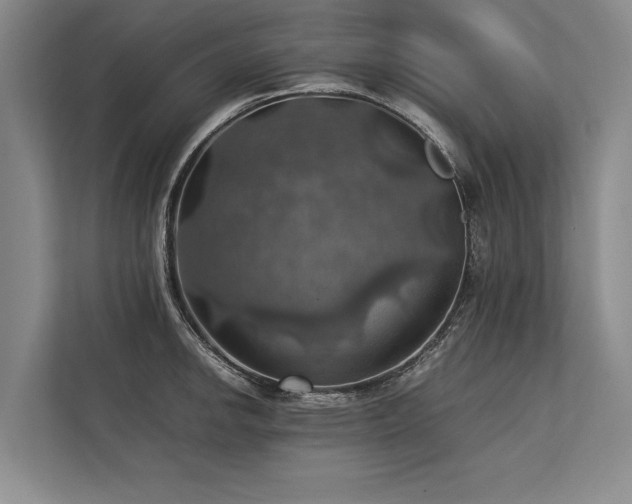 X0000113781142200909231310