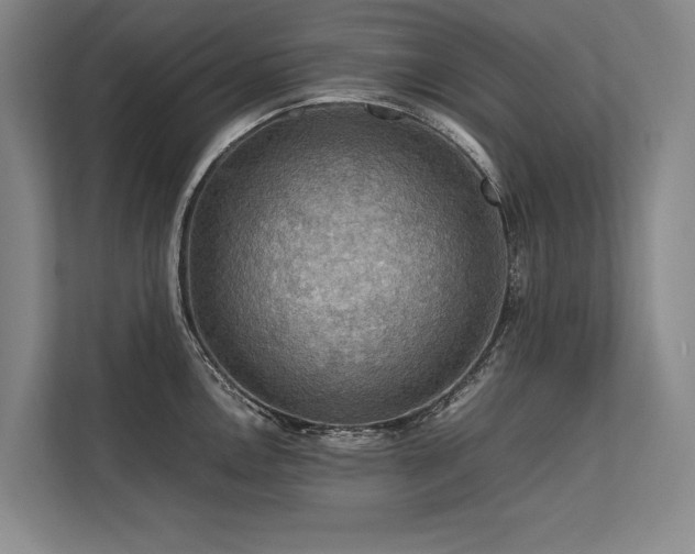 X0000113781146200909231310