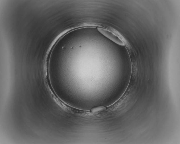 X0000113781148200909231310