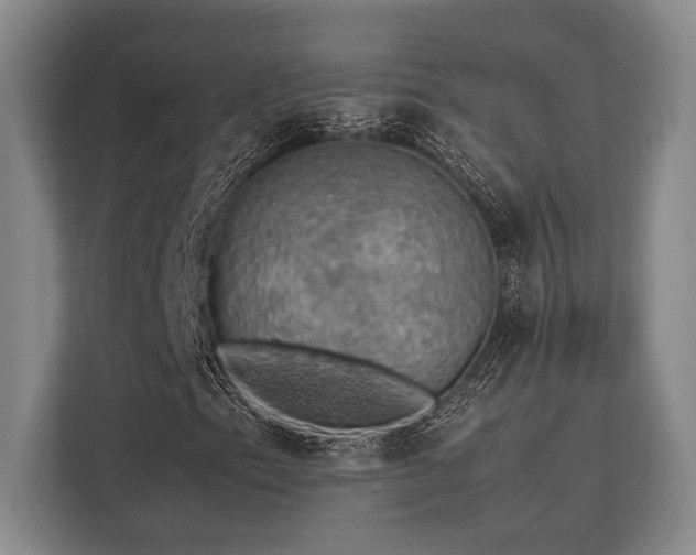 X0000113781153200909231309