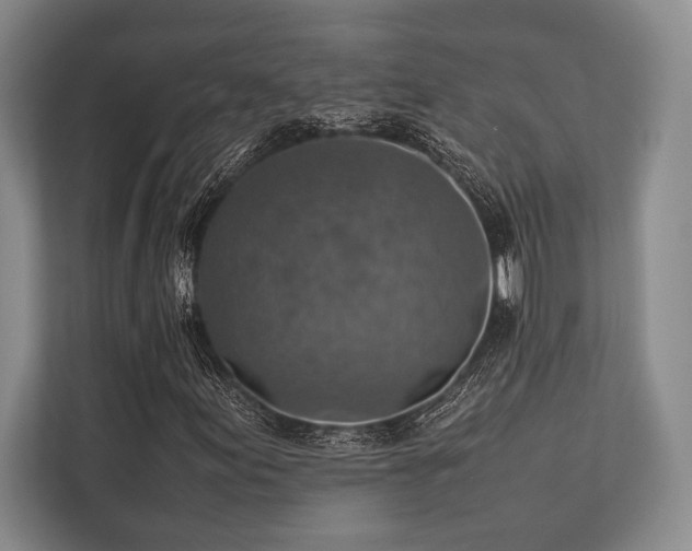 X0000113781155200909231309