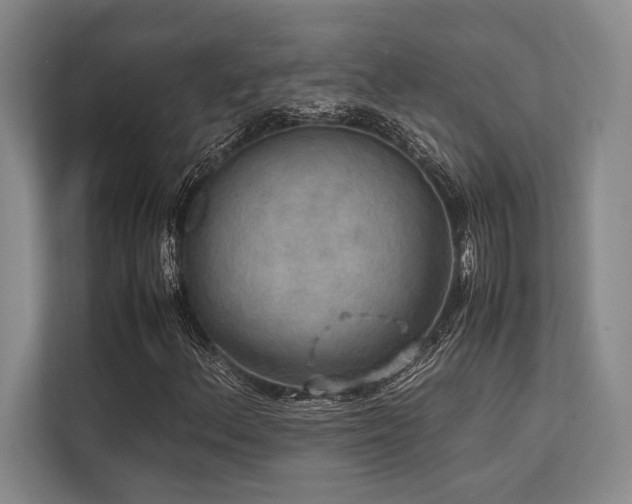X0000113781156200909231309