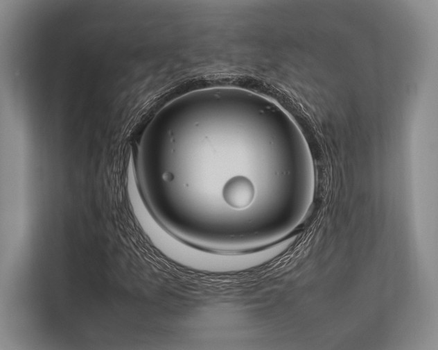X0000113781157200909231309