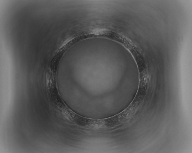 X0000113781158200909231309
