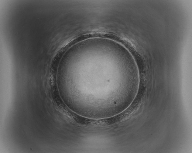 X0000113781159200909231309