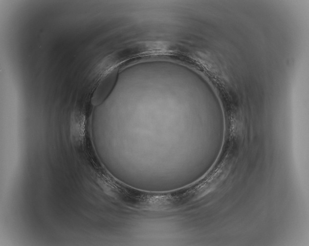 X0000113781161200909231309