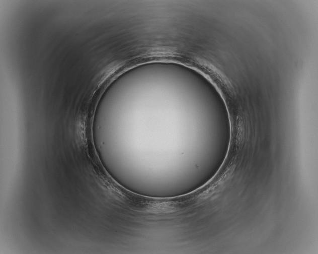 X0000113781162200909231309
