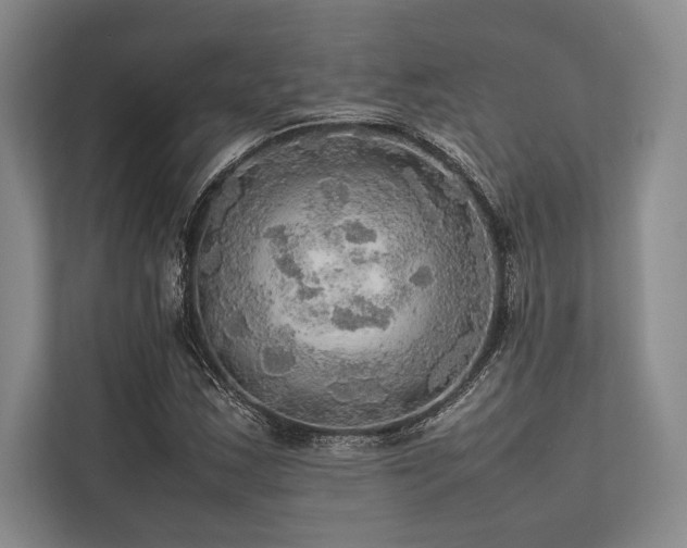 X0000113781163200909231309