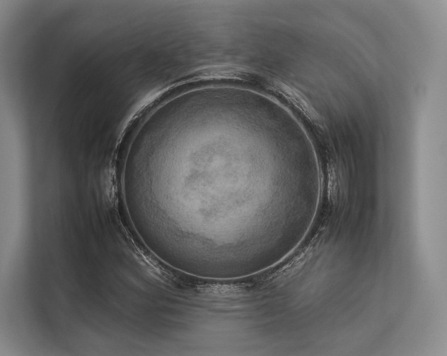 X0000113781164200909231309
