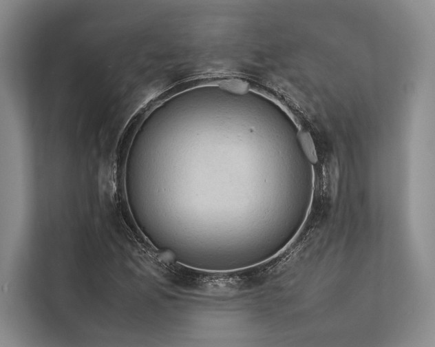 X0000113781165200909231309