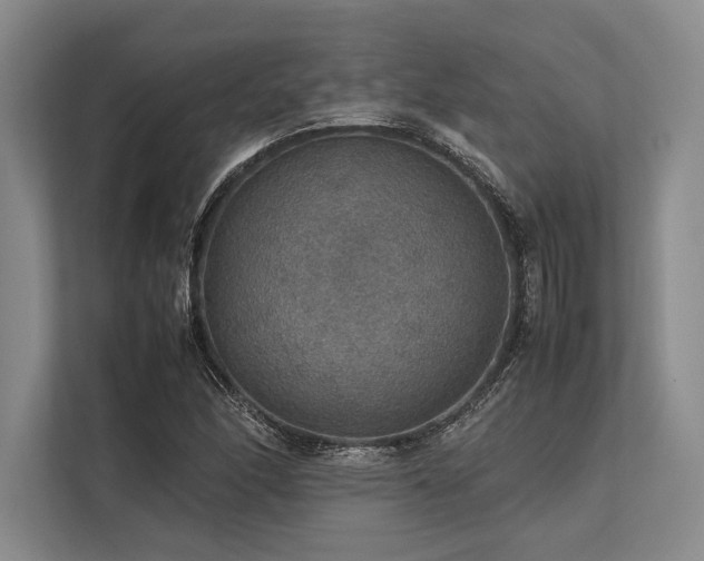 X0000113781166200909231309