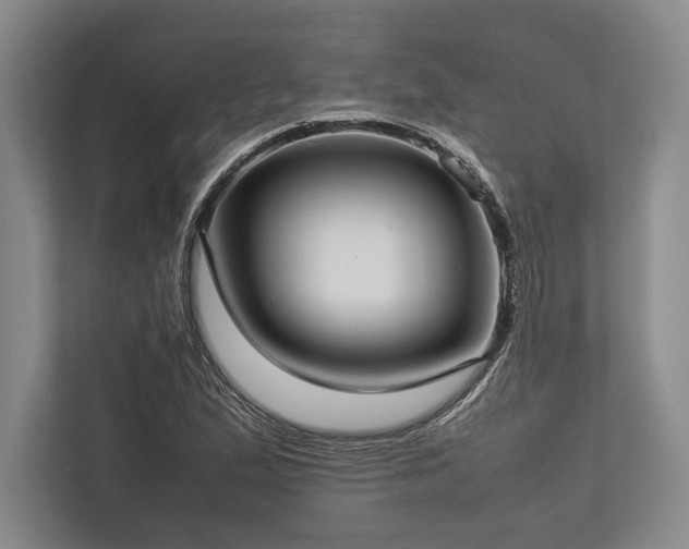 X0000113781167200909231309