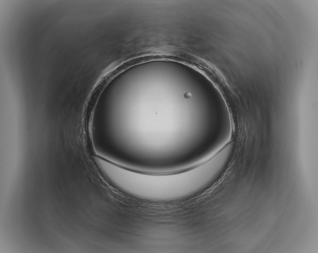 X0000113781168200909231309