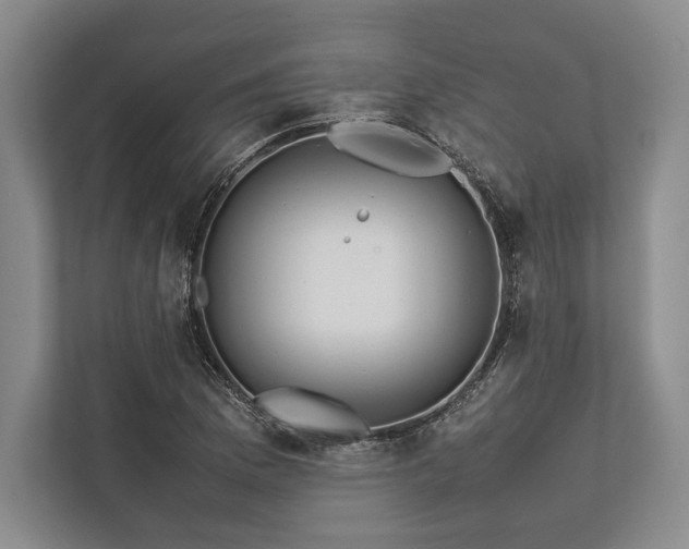X0000113781169200909231309