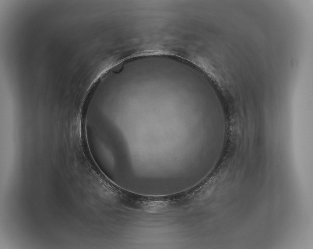 X0000113781173200909231309