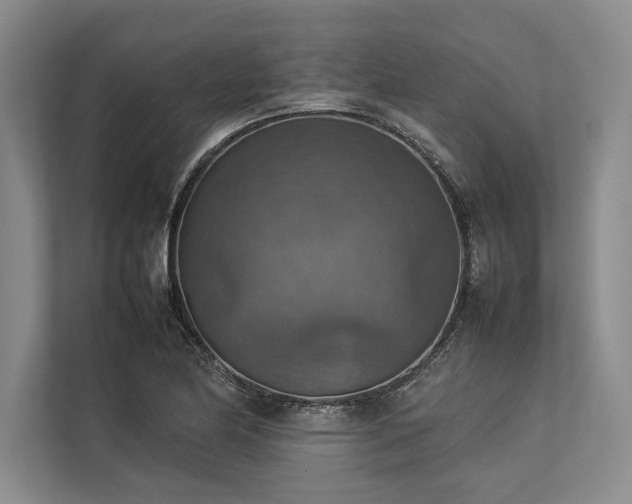 X0000113781174200909231309