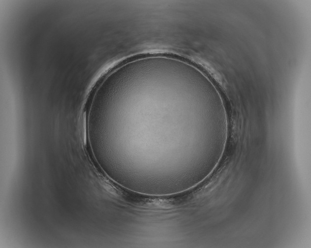 X0000113781175200909231309