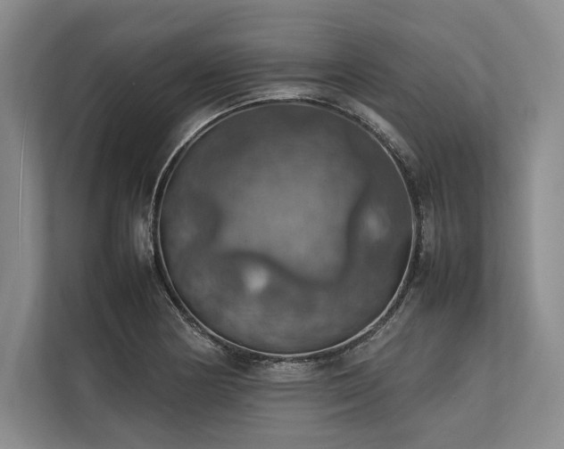 X0000113781178200909231309