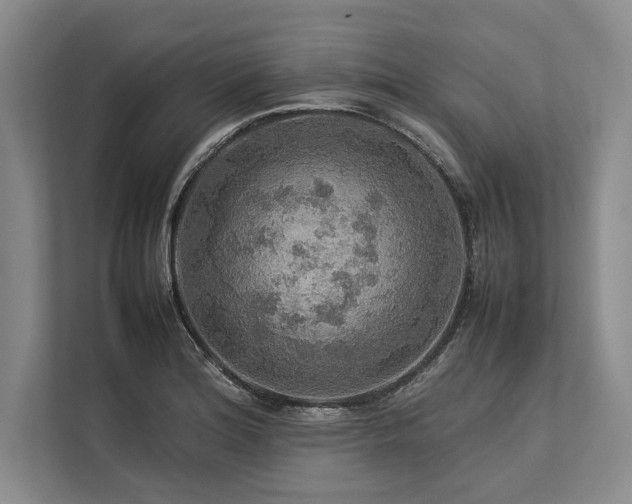 X0000113781180200909231309