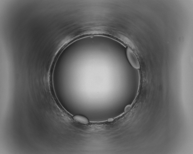 X0000113781181200909231309
