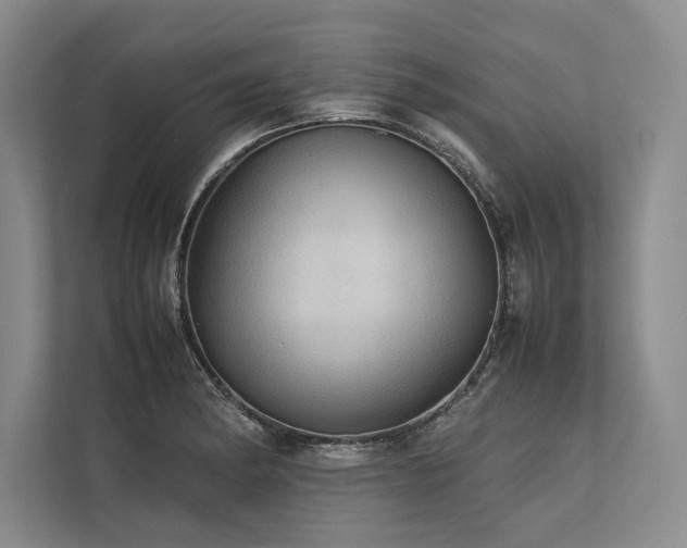 X0000113781182200909231309