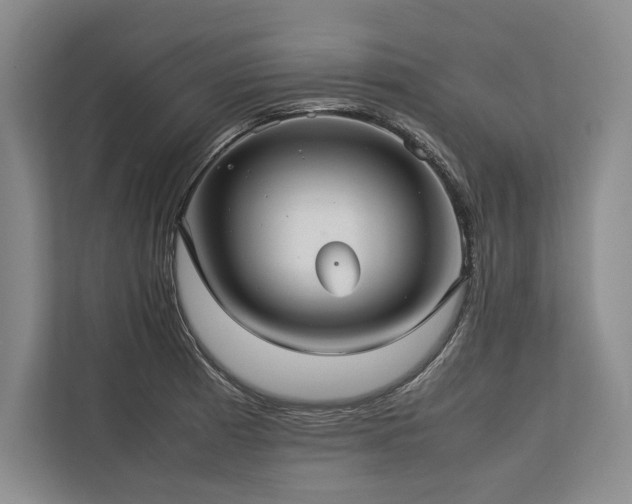 X0000113781185200909231309