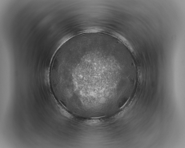 X0000113781186200909231309