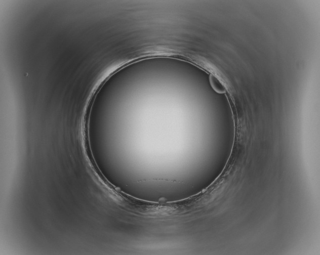 X0000113781187200909231309