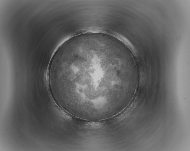 X0000113781190200909231309