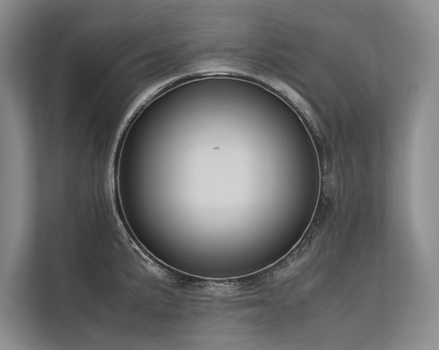 X0000113781191200909231309